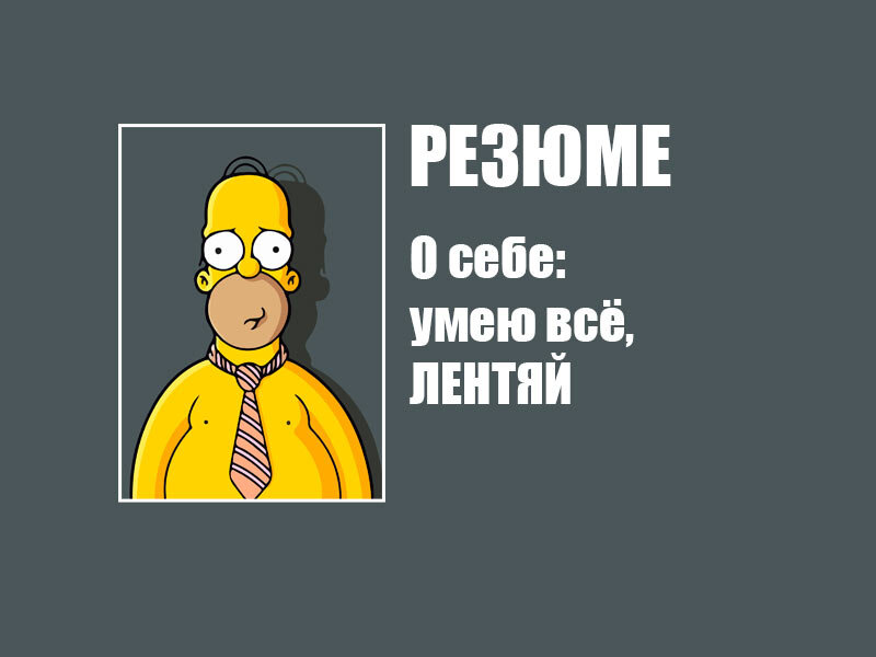 Грамотное резюме мастера лени