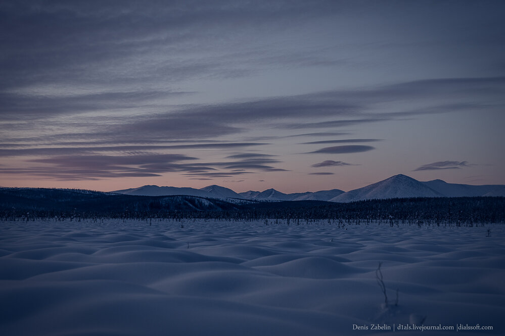 кот манул злой. фото зигаз объемный. манул (палласов кот). снежная тропа в горах. кот манул злой.