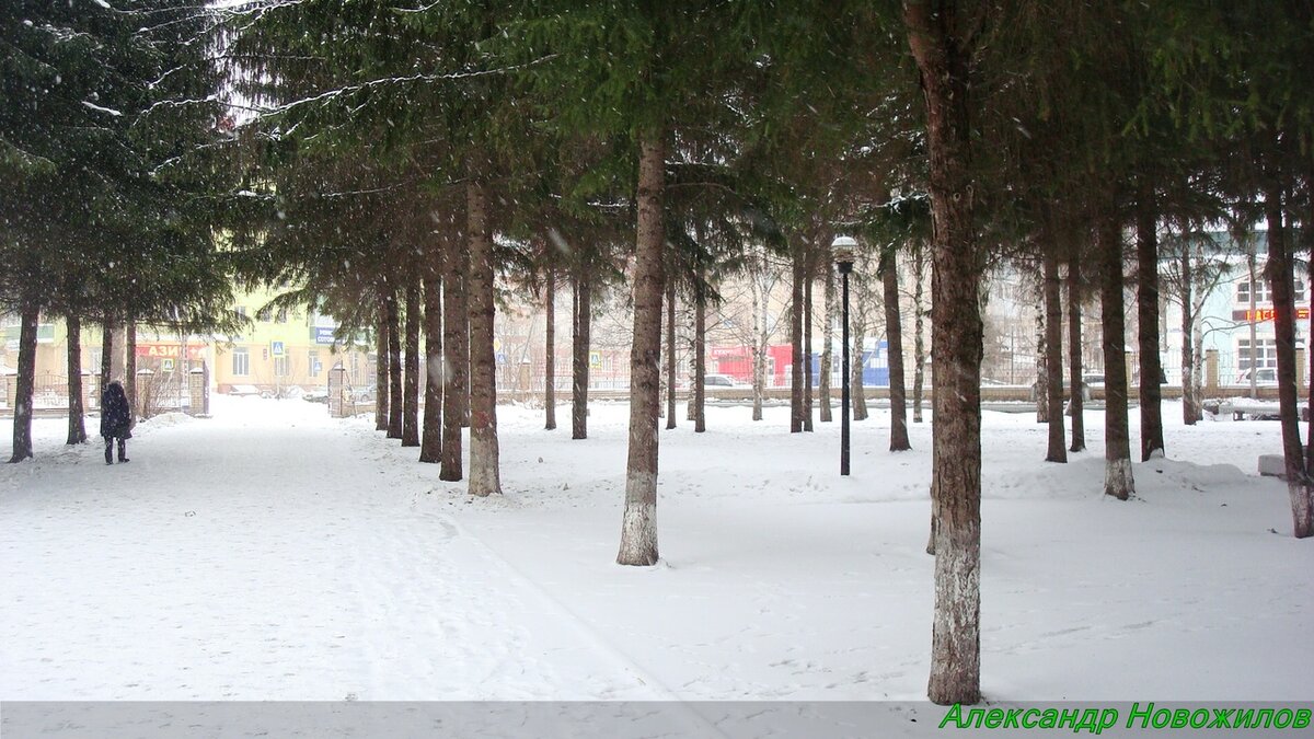 09.12.18 #Аллея_Героев 
#Россия #Татарстан #Бугульма #день #прогулка #дневная_прогулка #декабрь #зима #декабрь2018 #зима2018 #улица #город #родная_Бугульма #снег #аллея