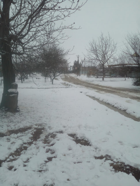 Вот такая она Кубанская зима.