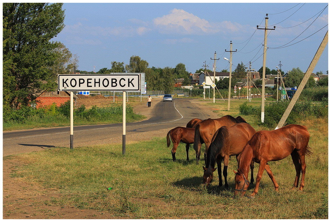 Станица кореновская краснодарский край фото