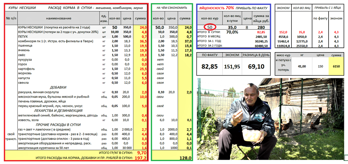 50 кур на яйцо. фото автора канала В. Н.  Воронов 