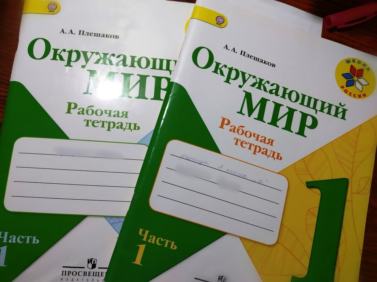 Открываем рабочую тетрадь. Учебники и тетради. Фото учебников 6 класса окружающий мир. Фото учебники, рабочие тетради по истории.