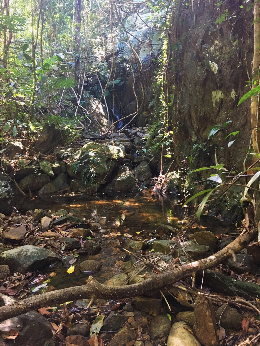 Все начиналось безобидно