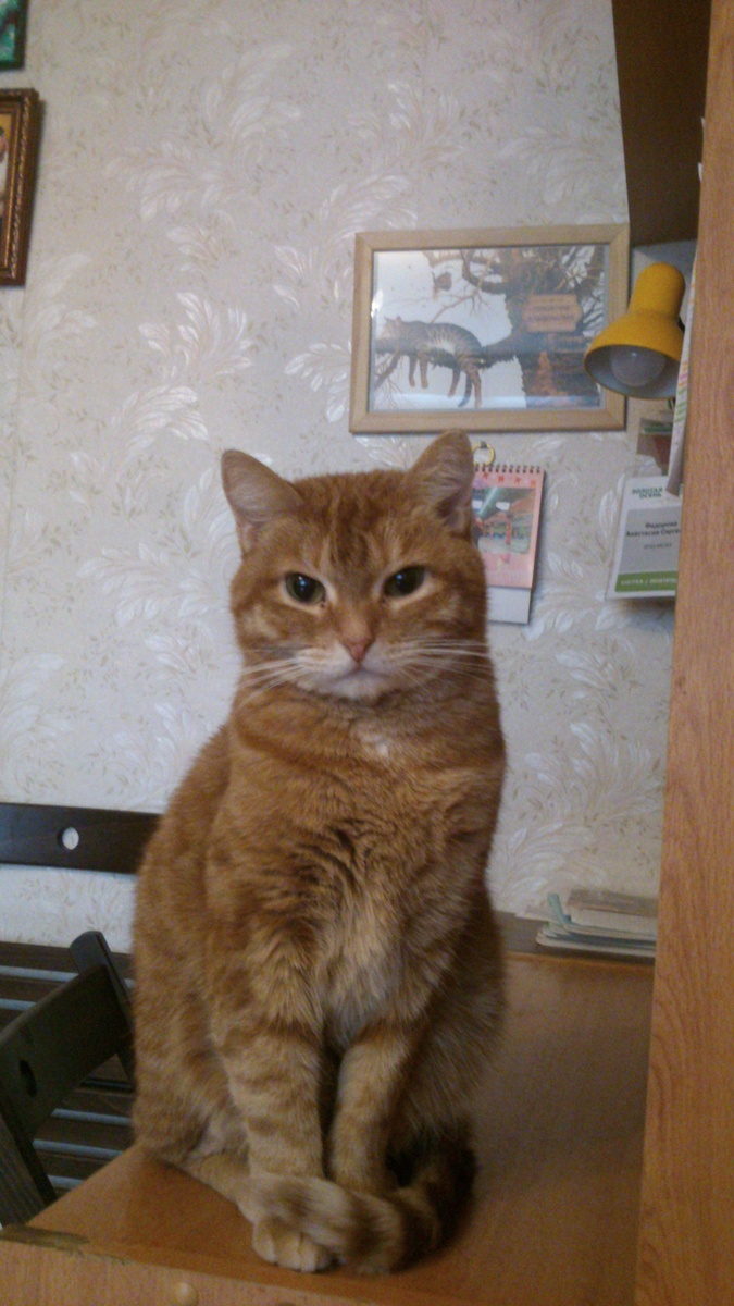 И Мэри унаследовала от них дружелюбие, спокойствие, невозмутимость и философский взгляд на мир и способность гибко подстраиваться под все то новое, что преподносит ей жизнь. 