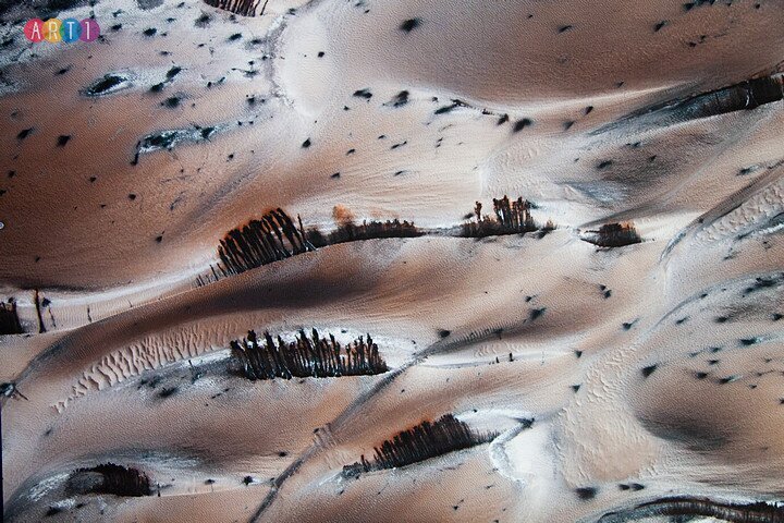 Фото Игоря Логвина