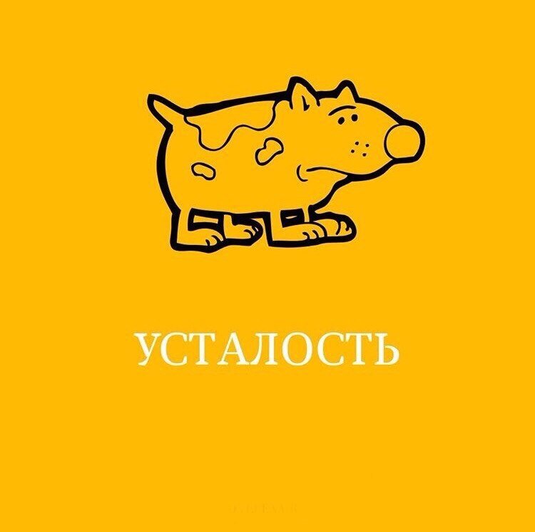Нас бесят дети, но мы списываем это на свой плохой характер, избалованность детей, их манипуляции, свое неумение терпеть и сдерживаться, а еще часто виноват муж. Муж вообще виноват примерно во всем 💁