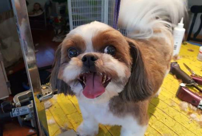 Фото с ASSETS3.THRILLIST.COM