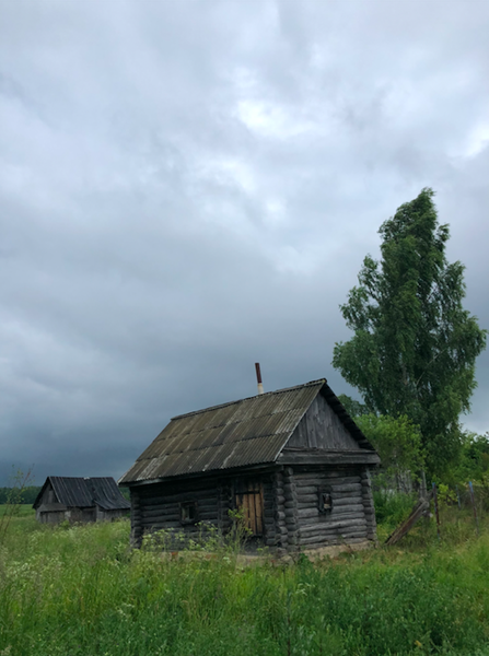 Егерь, который живет в деревне: «Городские жители беспомощны, расхлябаны и разучились думать своей головой»