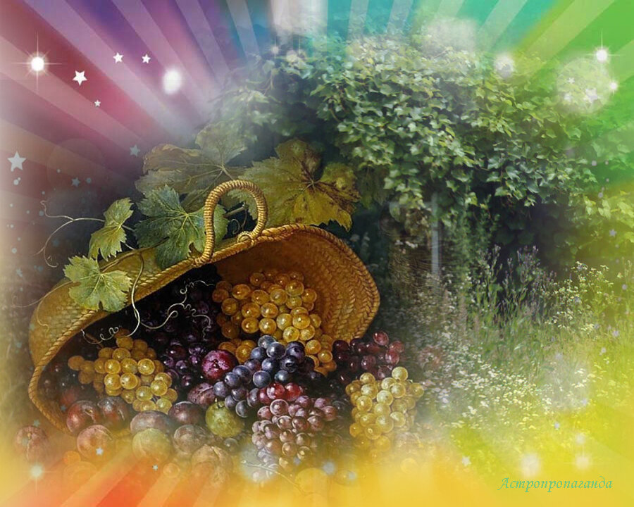 Коллаж Нины Стрелковой.