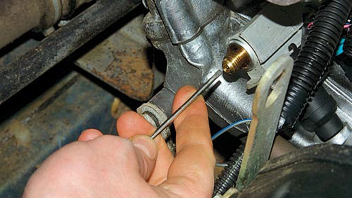 Фото: Алексей Смирнов