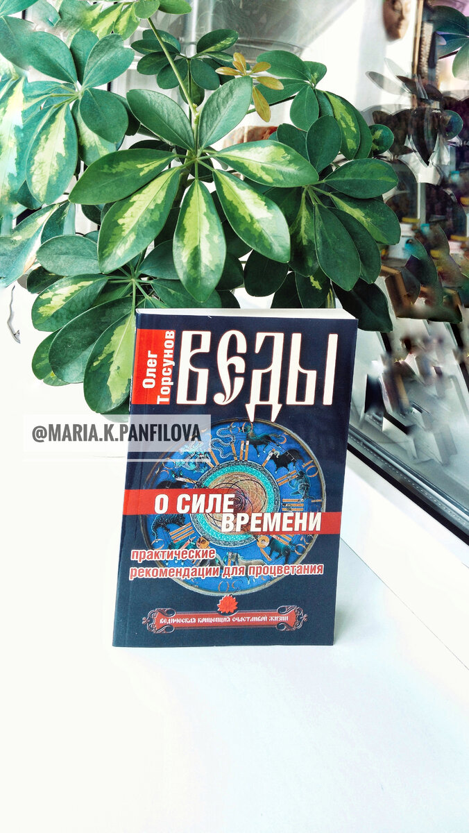 Олег Геннадьевич Торсунов "Веды о силе времени" 