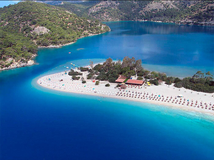 4. Интересно, что не только тюльпаны, но и вишня впервые была ввезена в Европу из северной Турции.