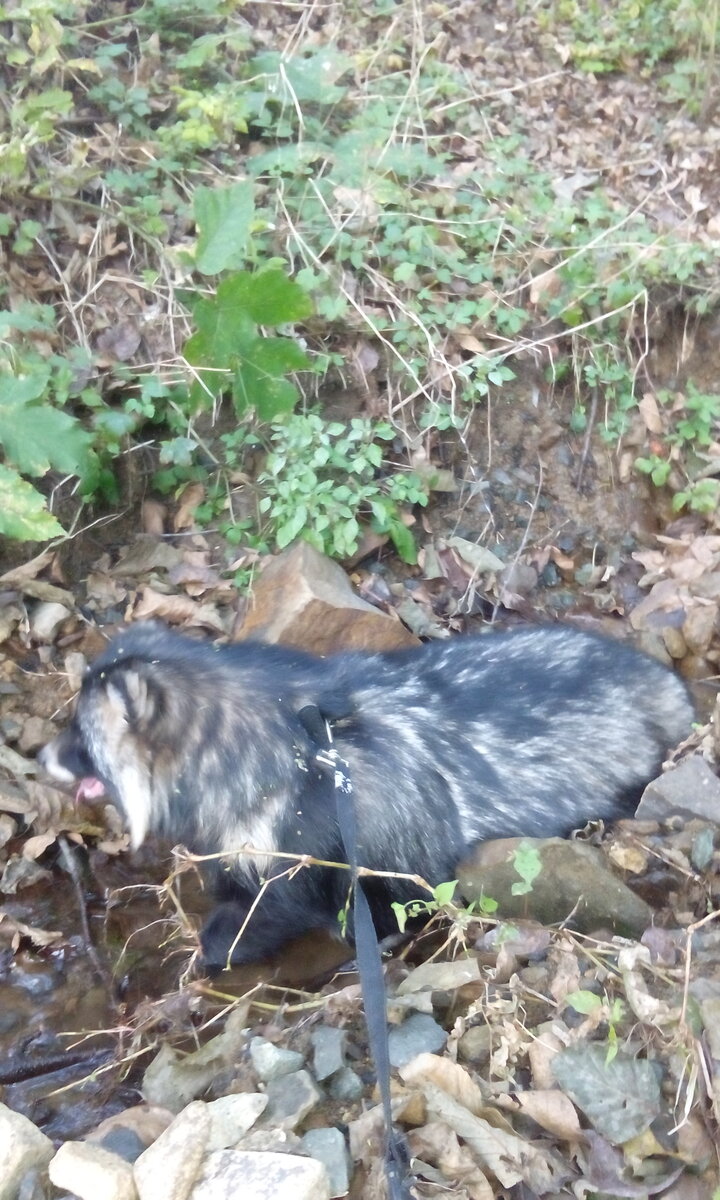 на прогулке