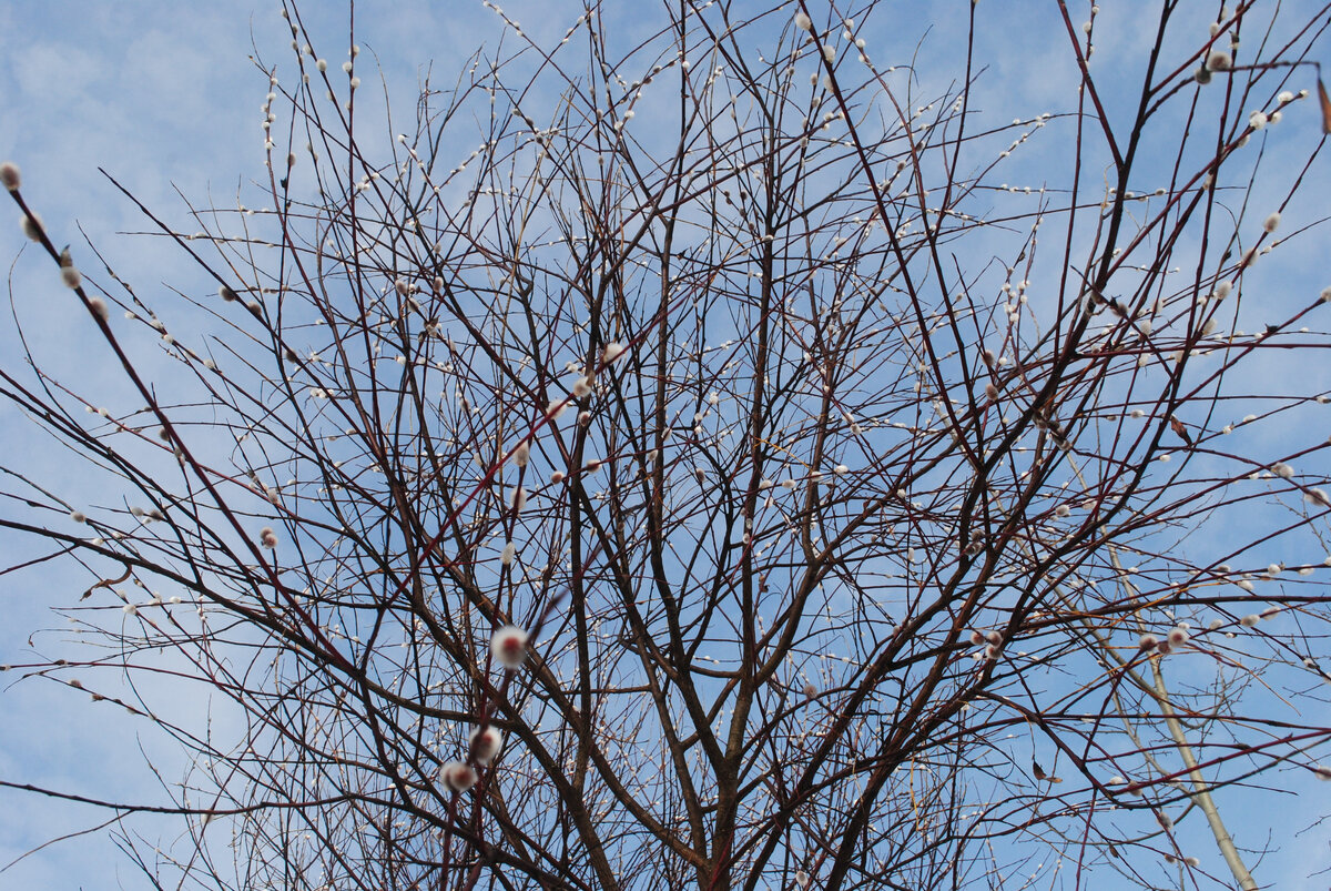 Фотограф Н. Маркелова