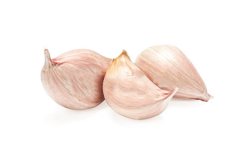Зубчик чеснока фото Рецепт. Plain garlic souse - чесночный соус Экзотический вояж Дзен