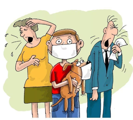 яндекс.картинки