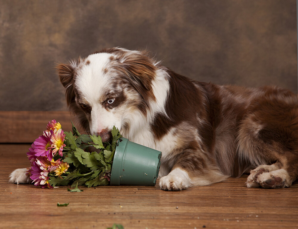 источник: img2.vitaportal.ru