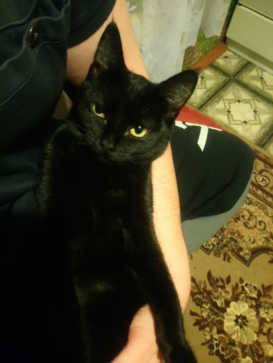 Жрать давай человек