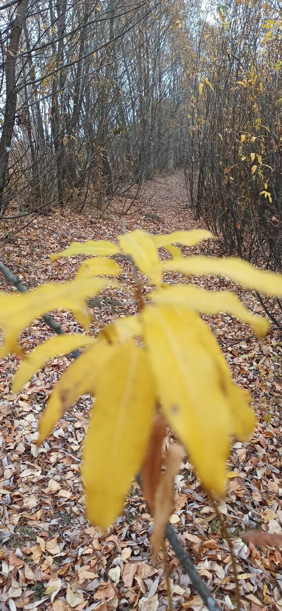 Работайте над собой