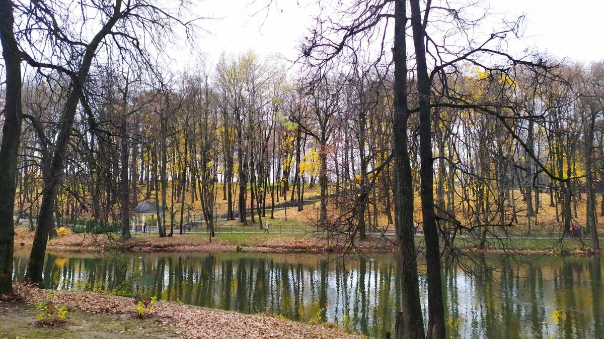 Тихий пруд в осеннем парке. Любуемся красотой. Личное фото