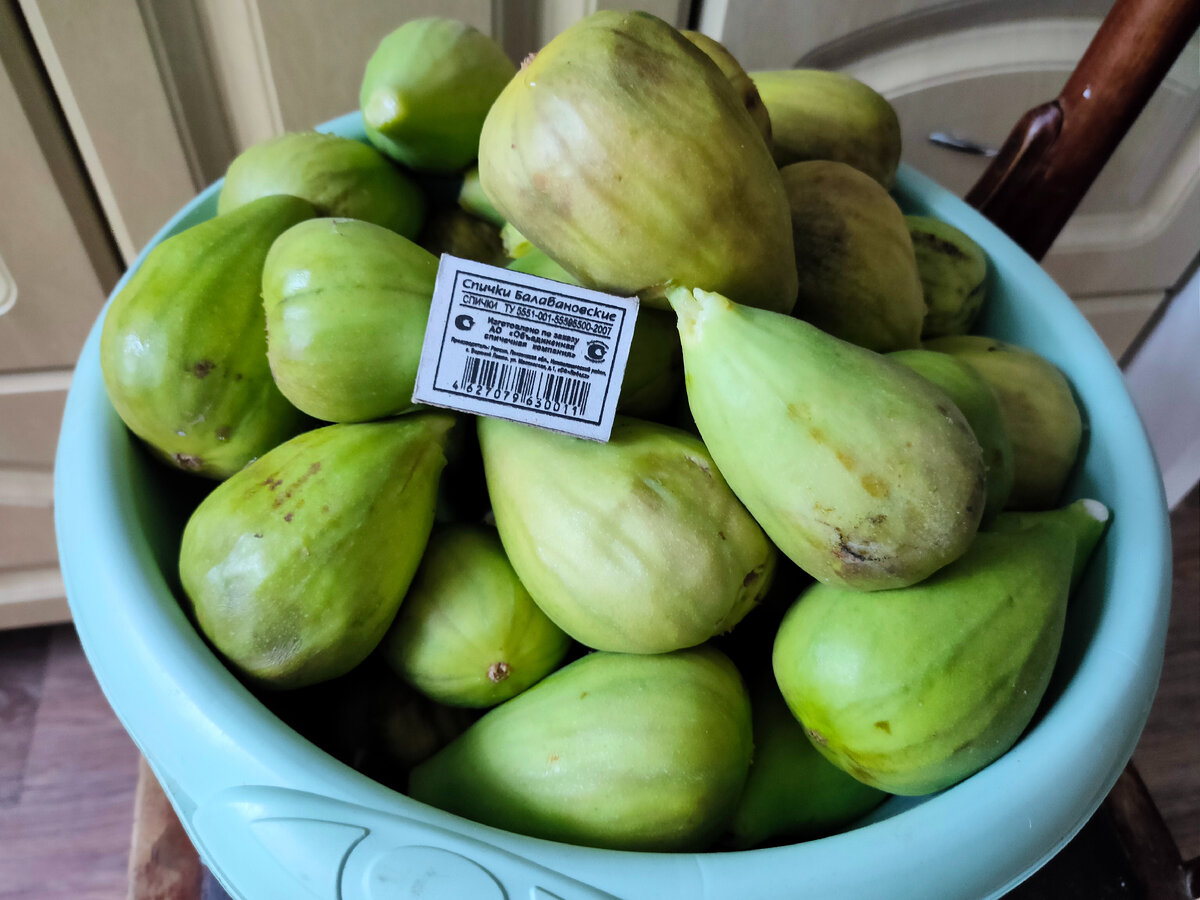 Собрала тазик инжира. Сравните размер плодов со спичечным коробком. Впечатляет, да?