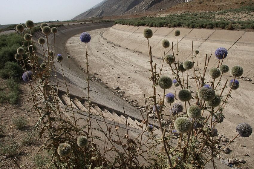 Фото: theiranproject.com