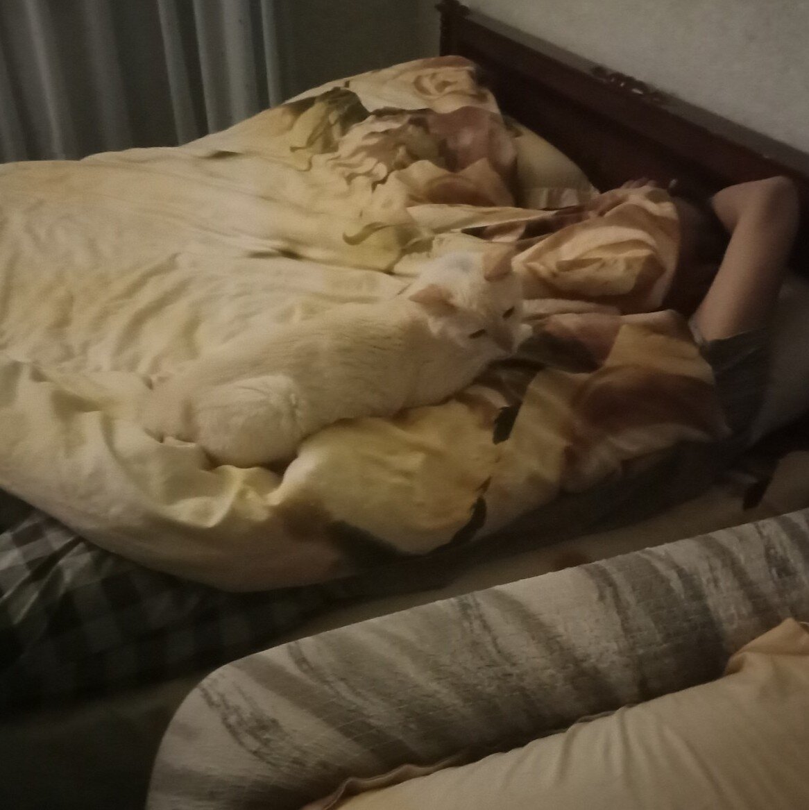 -2