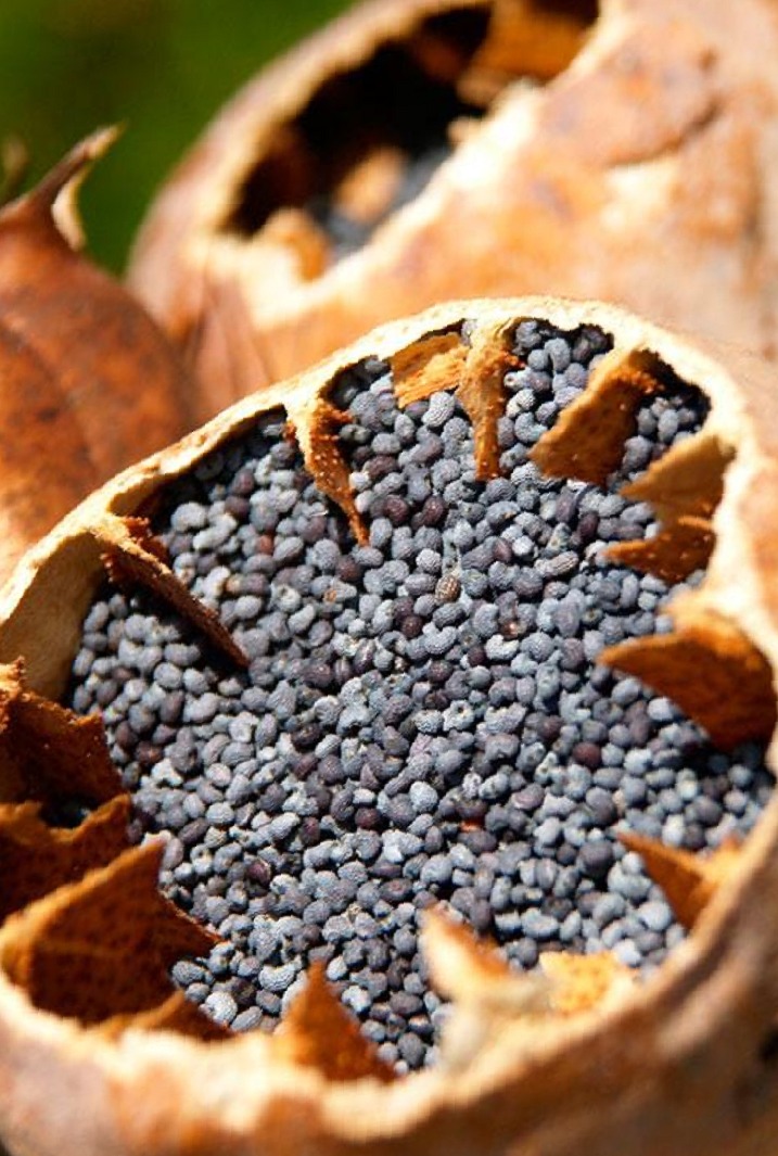 Для успеха в делах и процветания