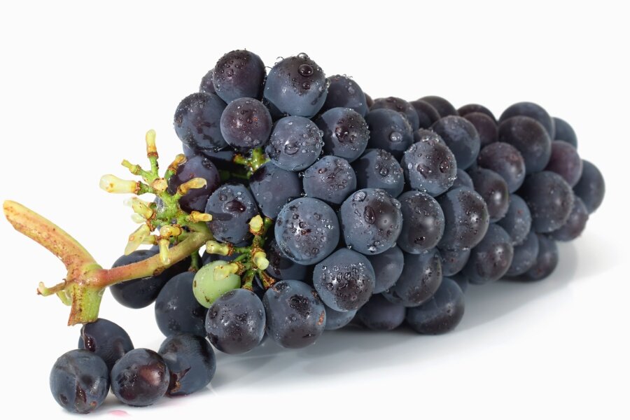 А вы знали, что виноград – не просто полезен, а очень полезен? Раскусывая его сочные ягоды, вы получаете намного больше, чем просто приятный вкус.-2