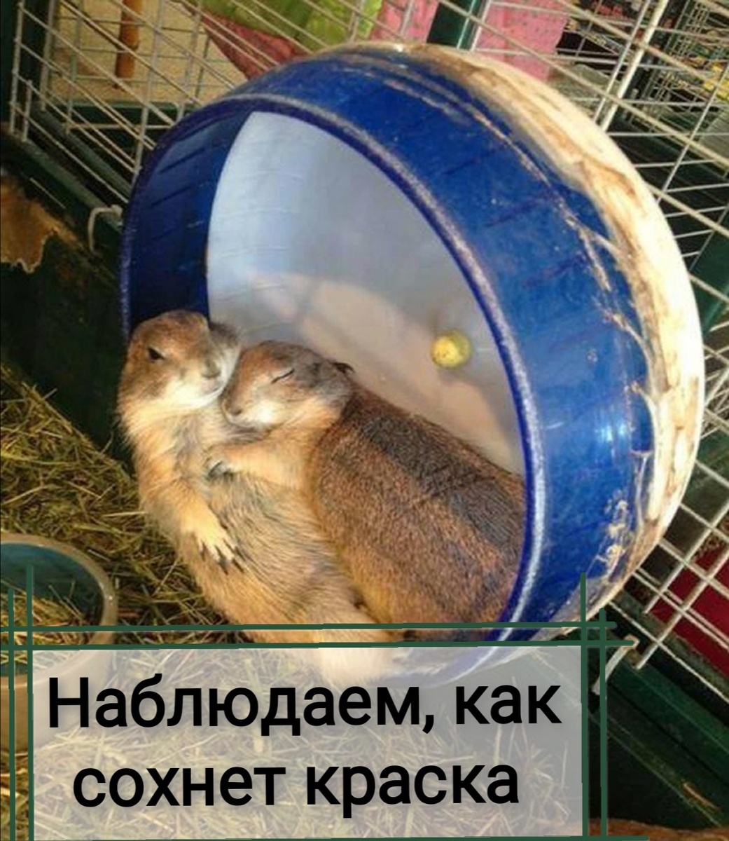 Пассивные инвестиции. Ты неси меня река. 