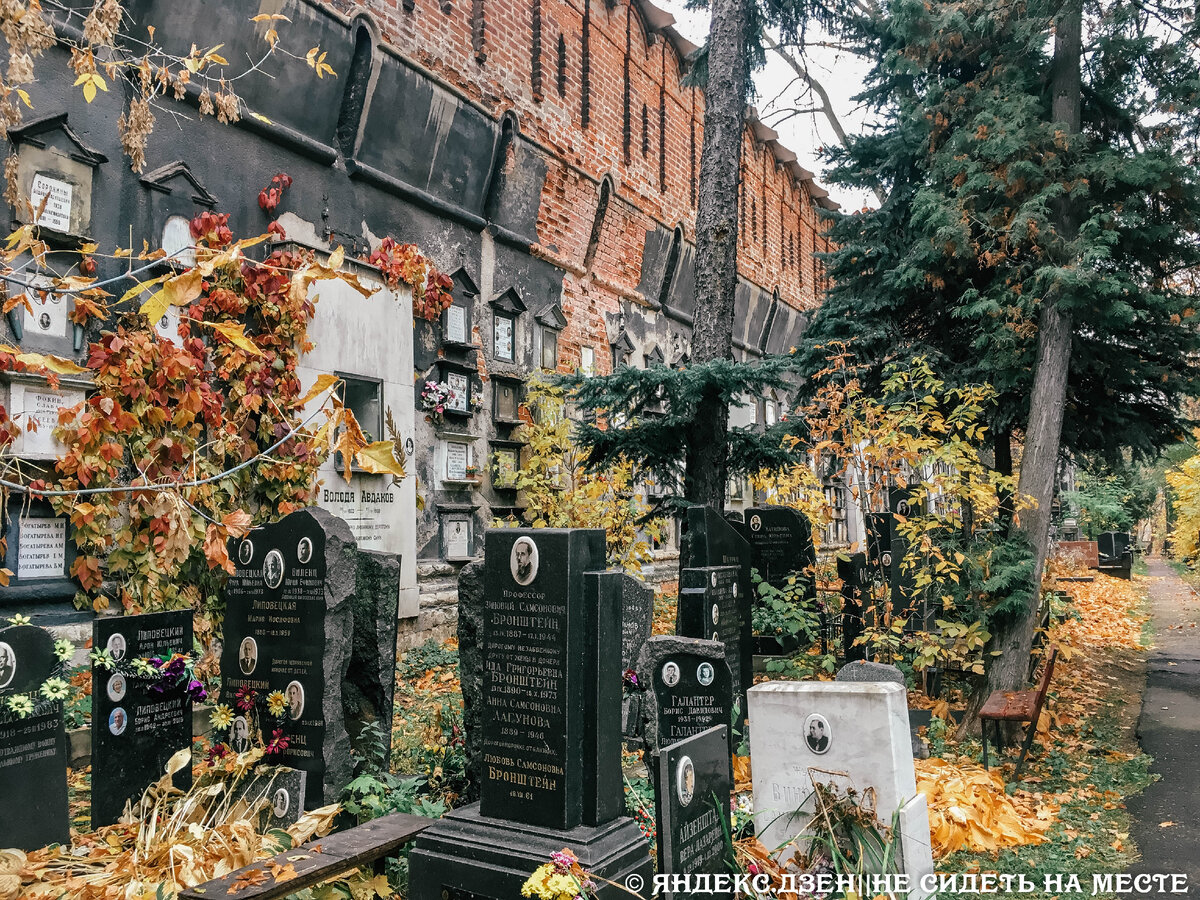 Место, где хоронили врагов народа. Новое Донское кладбище в Москве | НЕ  СИДЕТЬ НА МЕСТЕ | Дзен