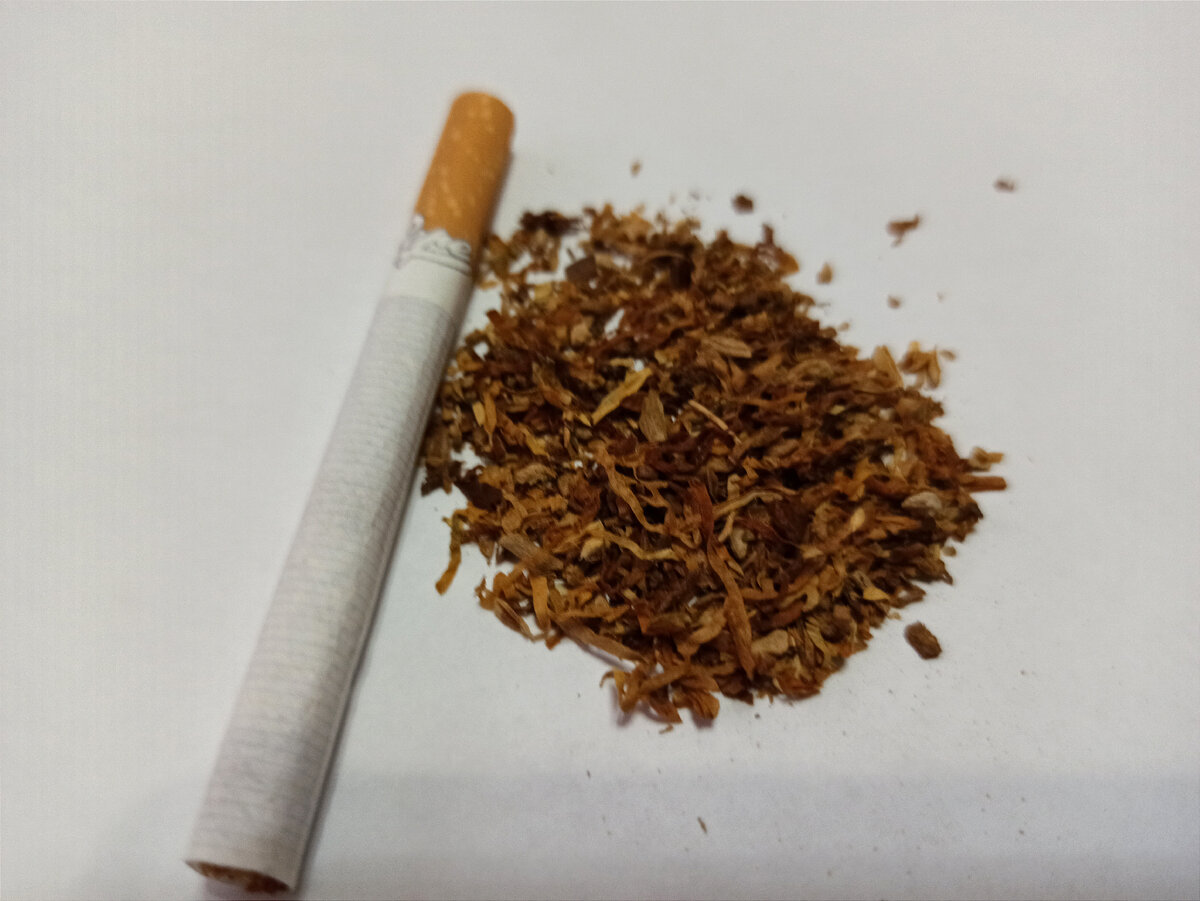 Сигареты PEPE - Rich Green