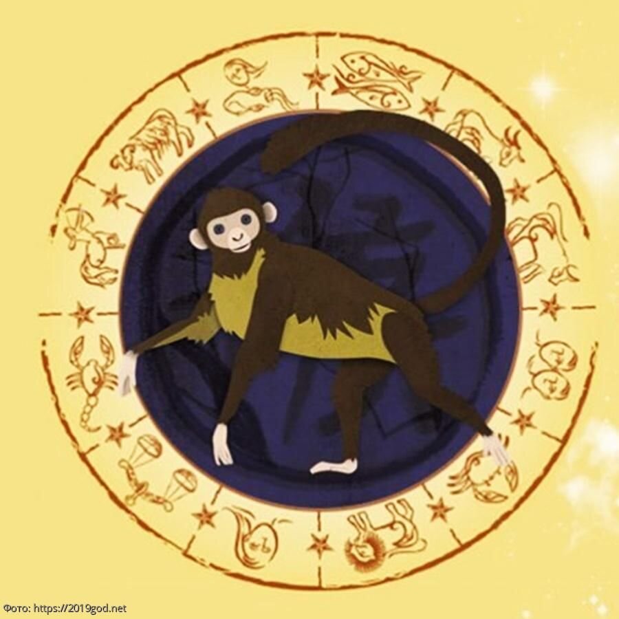 Знак зодиака обезьяна. Гороскоп год обезьяны. Восточный гороскоп год обезьяны. Обезьяна знак зодиака года.