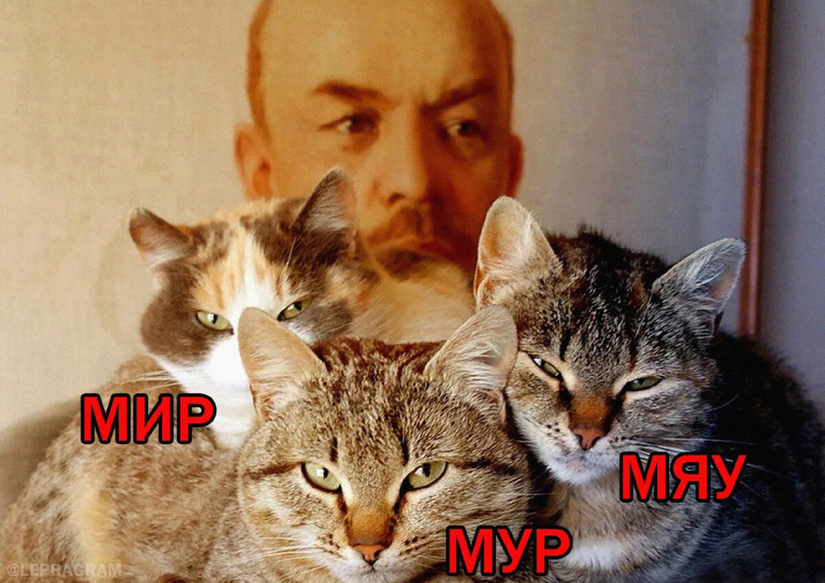 Опоздал на 5 дней, но картинка прикольная