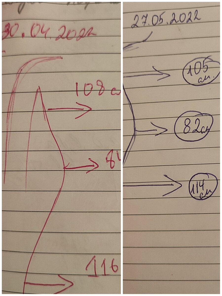 Записи в блокноте. 