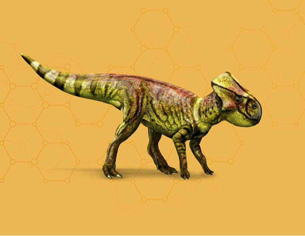 Криолофозавр раро игрушка. Dinosaurs size comparison. Ихтиовенатор beasts of bermuda. Нанотиранус скелет. Игрушки мир юрского периода тираннозавр рекс.