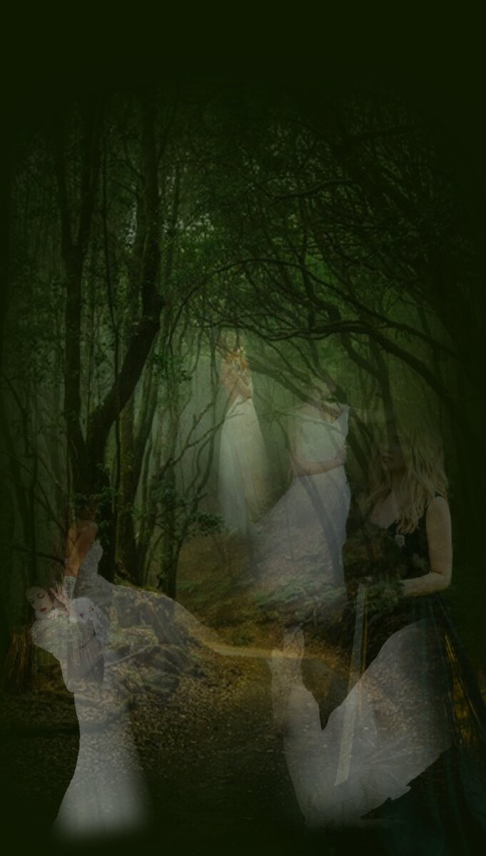 Ночь в лесу.