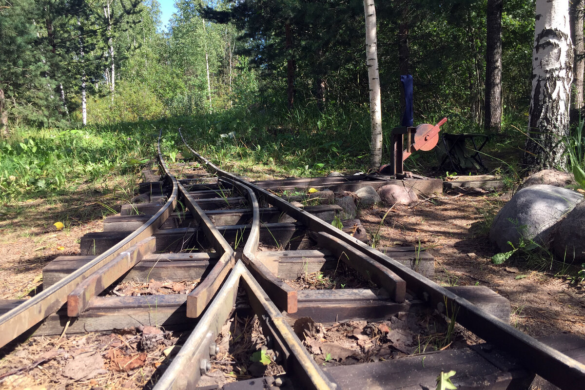 Железная дорога на дачном участке, по которой вас прокатит паровоз Павла Чилина! Как необычно провести время в п. Ульяновка (жд.ст. Саблино)