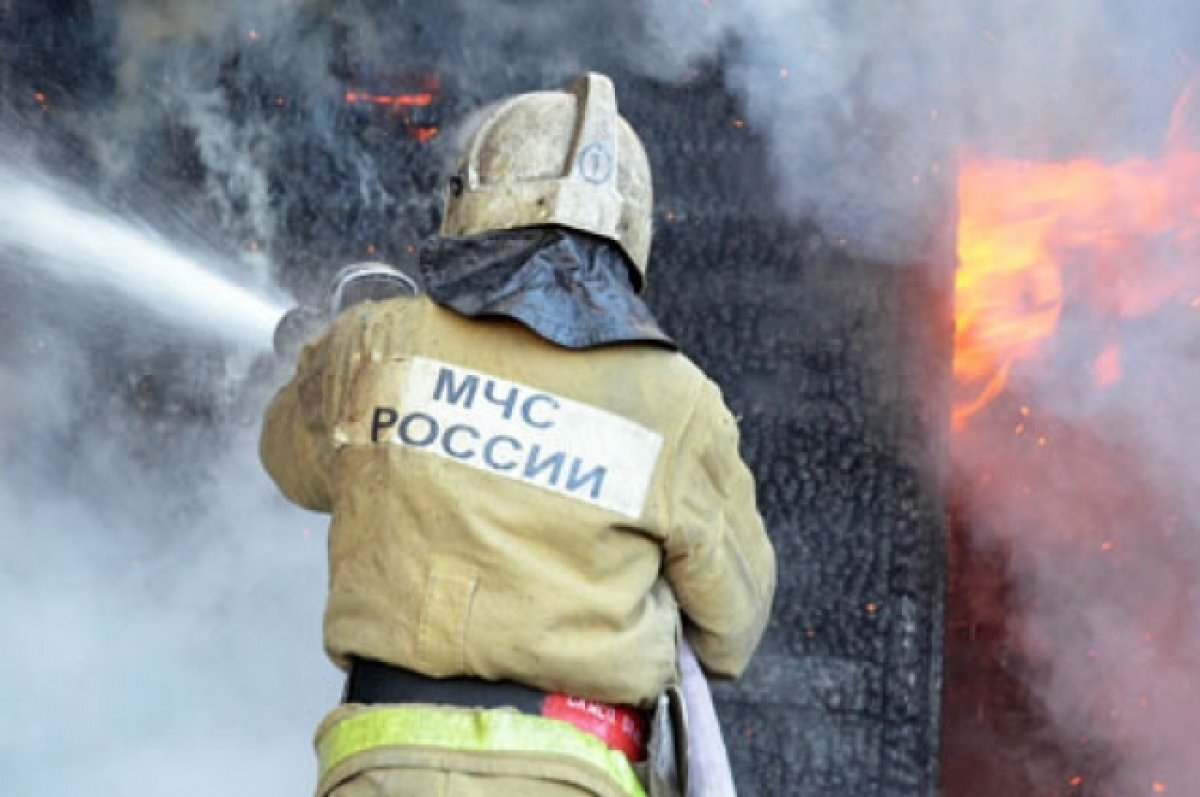    В Петропавловске из горящей квартиры спасли женщину и собаку