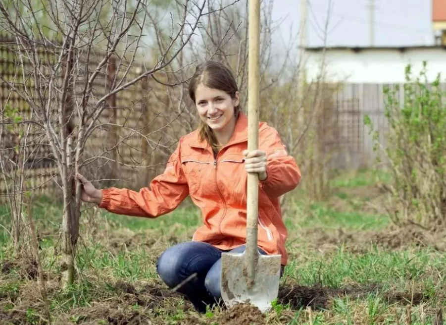 Фотография взята из источника gymnasia2.ru 