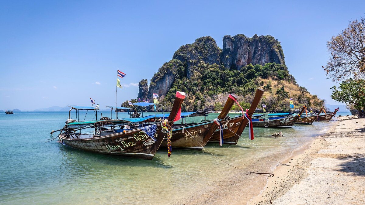 Фото: unsplash.com