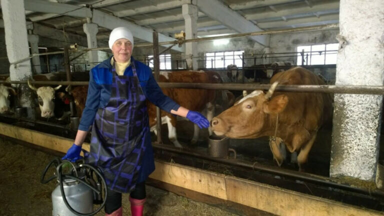    Оренбургская доярка Татьяна Ефремова вошла в ТОП5 на Всероссийском конкурсе профмастерства Марина Шарт