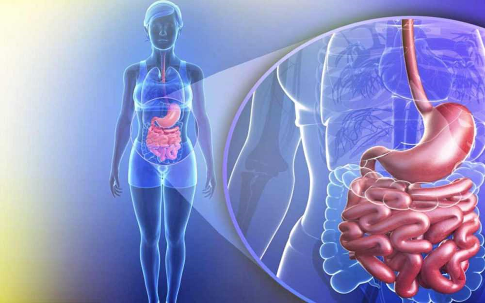 онкология кишечно желудочного тракта