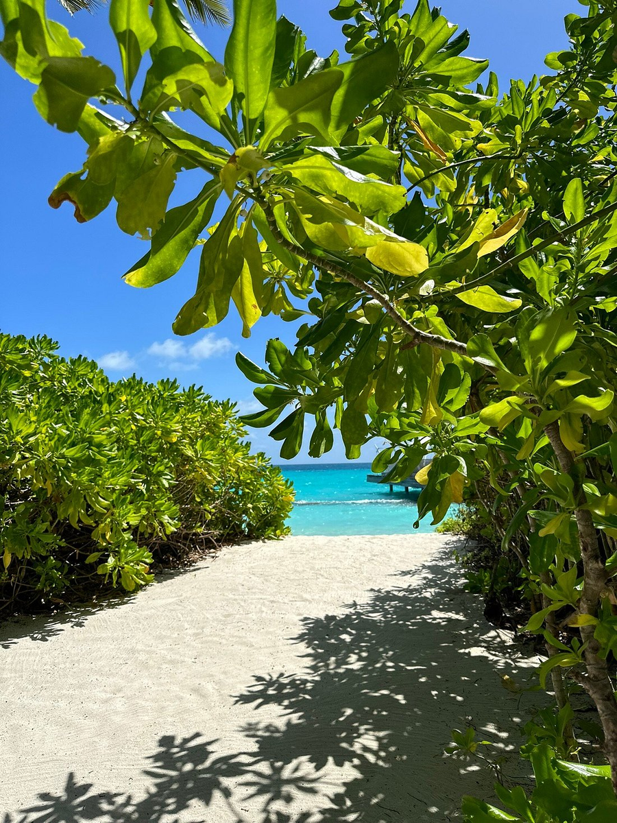 Kuramathi Island Resort 4*