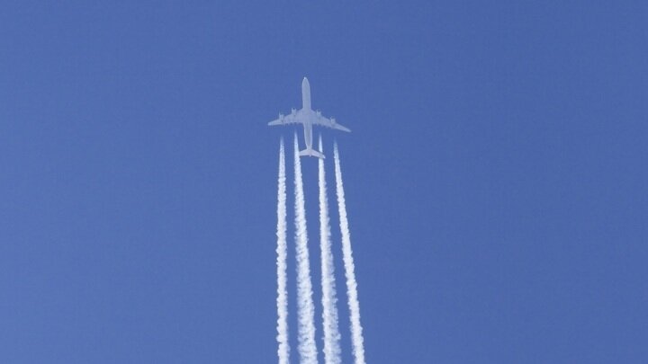 ФОТО: OLIVER BRANDT/IMAGEBROKER.COM/GLOBALLOOKPRESS