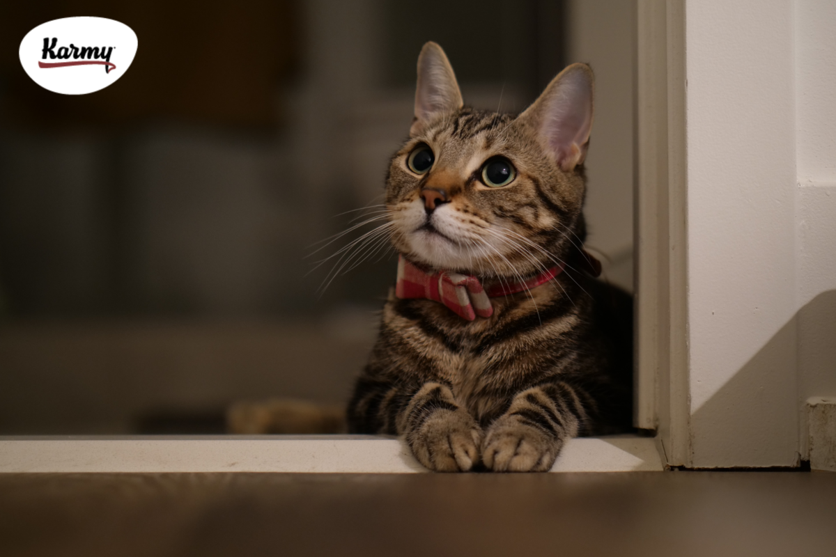 Авторское изображение с использованием картинки с фотостока "Unsplash"