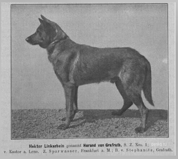 Хоранд фон Графрат 1885