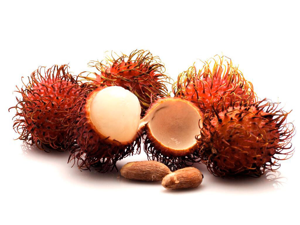 Дерево рамбутана растёт в таких странах с тропическим климатом как Индонезия, Малайзия, Юго-Восточная Азия, а также Таиланд. Плод, в зависимости от его сорта, может быть покрыт кожурой красного или белого цвета с жёсткими волосками, именно из-за них рамбутан часто называют «волосатым плодом». Волосинки у спелого фрукта должны быть насыщенного красноватого или розового цвета. Внутри этого фрукта содержится сочная беловатая желевидная мякоть, и мягкая (умеренно) косточка, которая по размерам не превышает 2-3 см.