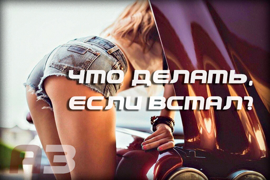 Вставай и делай